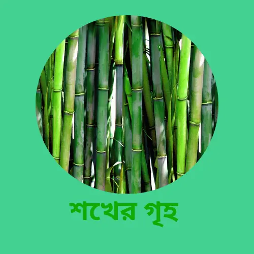 Bamboo craft